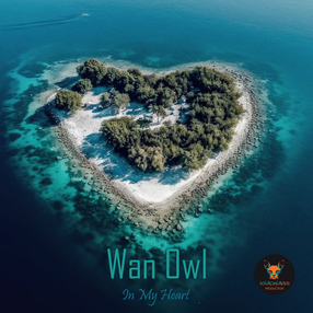 Wan Owl - In My Heart