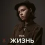 Жизнь