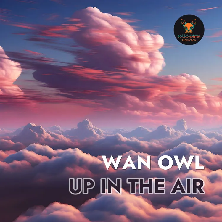 Wan Owl - Up in the Air (Extended Mix)