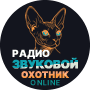 Звуковой Охотник — медиаплощадка и лейбл для артистов, которые хотят быть услышанными.